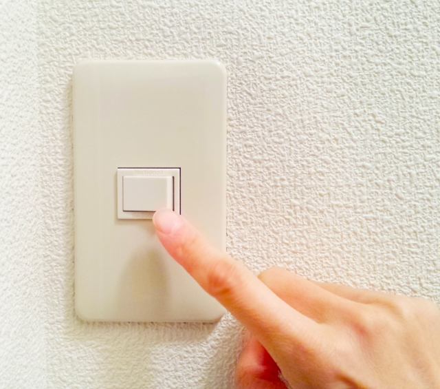 ソース画像を表示